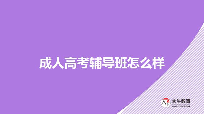 成人高考輔導班怎么樣