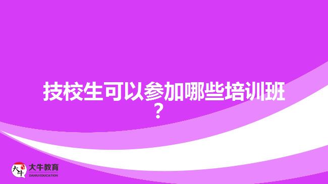 技校生可以參加哪些培訓(xùn)班？