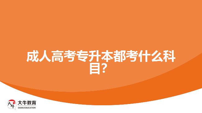 成人高考專升本都考什么科目？