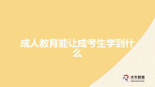 成人教育能讓成考生學(xué)到什么