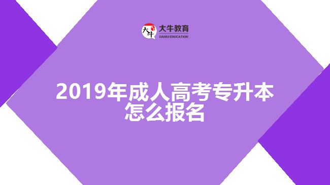 2019年成人高考專(zhuān)升本怎么報(bào)名