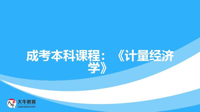 成考本科課程：《計量經(jīng)濟學(xué)》