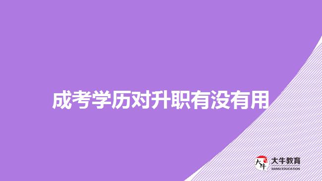 成考學(xué)歷對升職有用