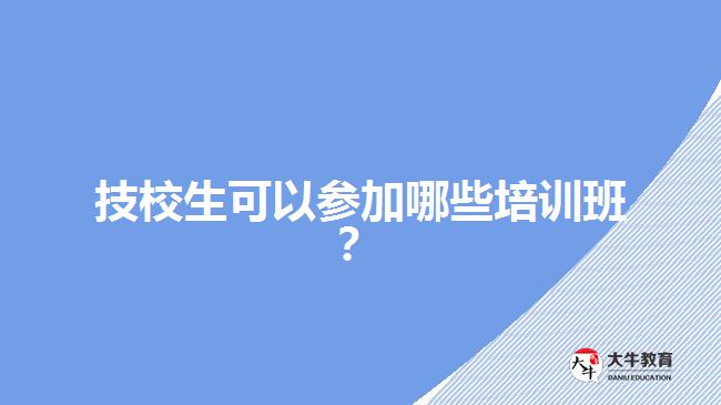 技校生可以參加哪些培訓(xùn)班？