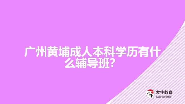 廣州黃埔成人本科學(xué)歷有什么輔導(dǎo)班？