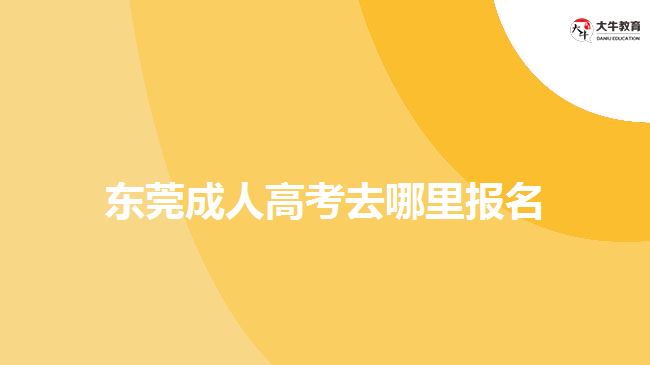 東莞成人高考去哪里報名