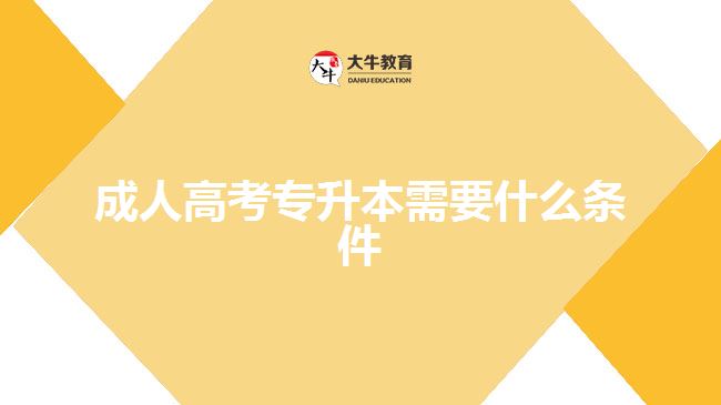 成人高考專(zhuān)升本需要什么條件