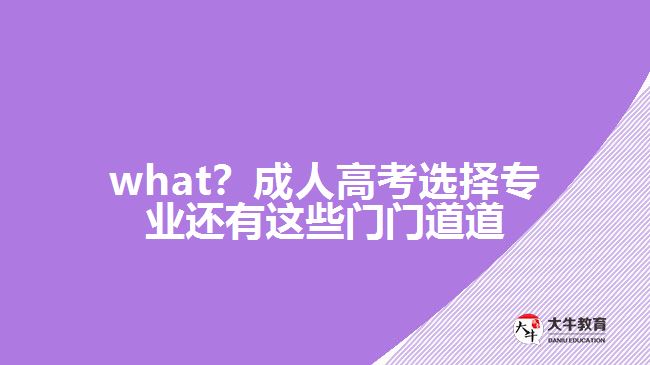 what？成人高考選擇專業(yè)還有這些門門道道