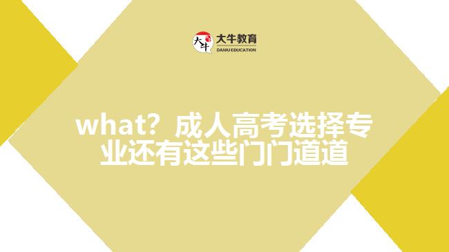 what？成人高考選擇專業(yè)還有這些門門道道