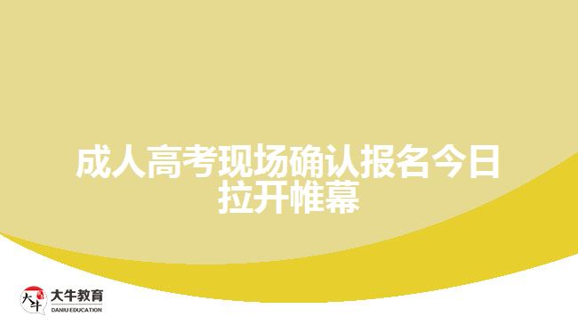 成人高考現(xiàn)場確認(rèn)報名今日拉開帷幕