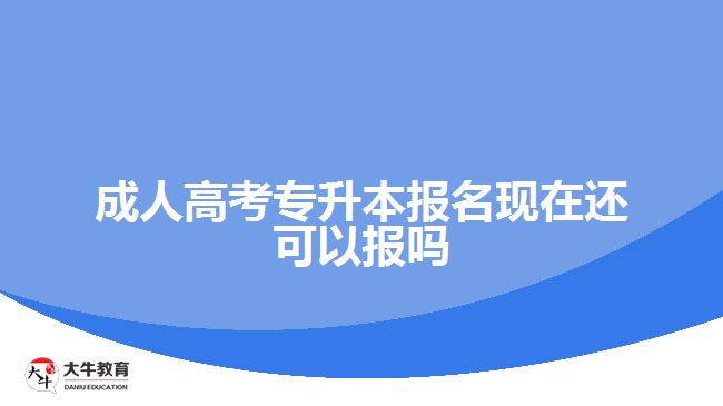 成人高考專升本報名