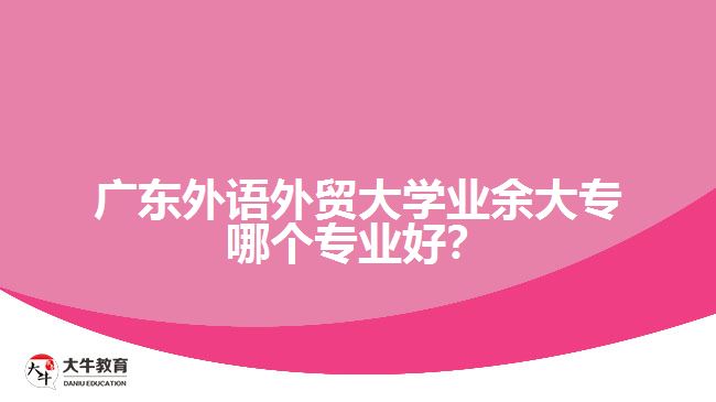 廣東外語(yǔ)外貿(mào)大學(xué)業(yè)余大專哪個(gè)專業(yè)好？