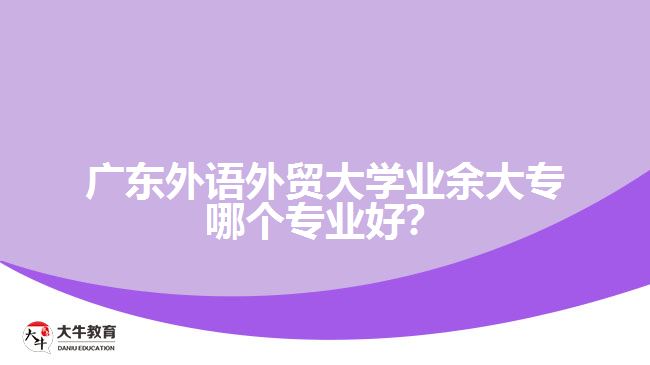 廣東外語外貿(mào)大學(xué)業(yè)余大專哪個專業(yè)好？