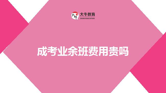 成考業(yè)余班費用貴嗎