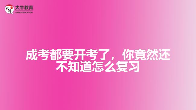 成考都要開考了，你竟然還不知道怎么復習