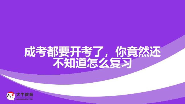 成考都要開考了，你竟然還不知道怎么復(fù)習(xí)