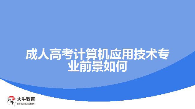 成人高考計算機應(yīng)用技術(shù)專業(yè)前景如何