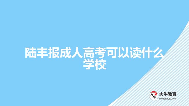 陸豐報成人高考可以讀什么學(xué)校