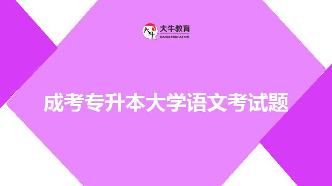 成考專升本大學語文考試