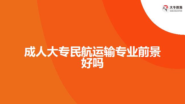 成人大專民航運輸專業(yè)前景好嗎