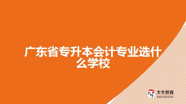 廣東省專升本會計專業(yè)選什么學校