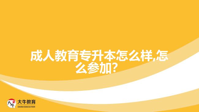 成人教育專升本怎么樣,怎么參加？