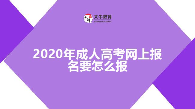 2020年成人高考網(wǎng)上報名要怎么報