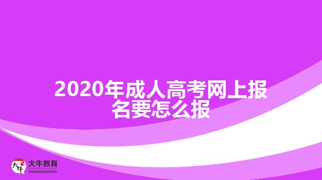 ，2020年成人高考網(wǎng)上報名要怎么報