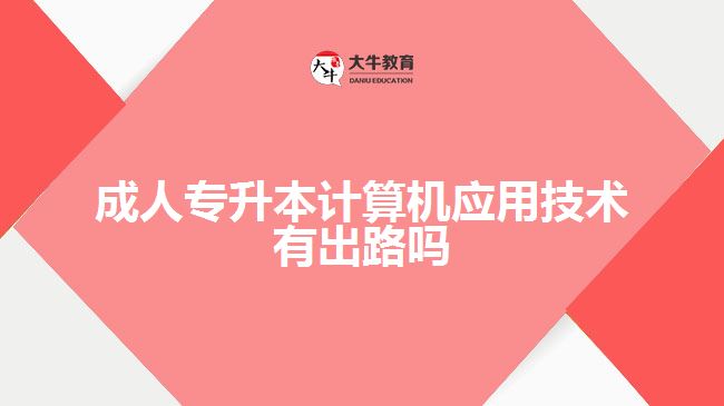 成人專升本計算機應(yīng)用技術(shù)有出路嗎