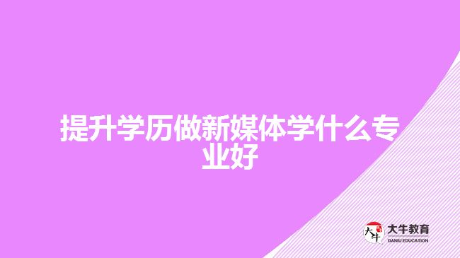 提升學(xué)歷做新媒體學(xué)什么專業(yè)好