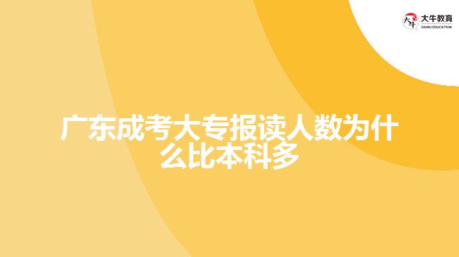 廣東成考大專報讀人數為什么比本科多