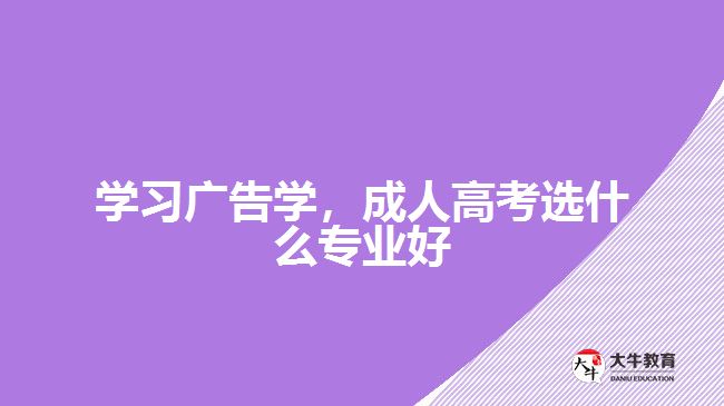 學(xué)習(xí)廣告學(xué)，成人高考選什么專業(yè)好