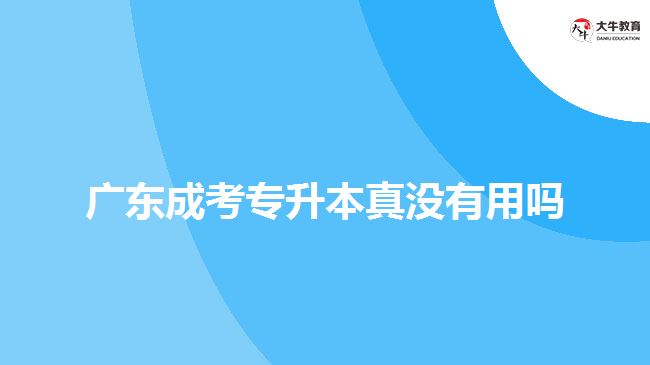 廣東成考專升本真沒有用嗎