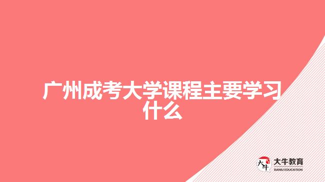 廣州成考大學(xué)課程主要學(xué)習(xí)什么