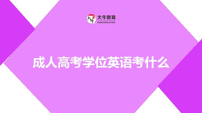 成人高考學(xué)位英語考什么