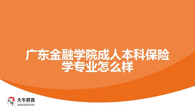 廣東金融學(xué)院成人本科保險學(xué)專業(yè)怎么樣