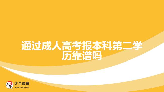 通過(guò)成人高考報(bào)本科第二學(xué)歷靠譜嗎