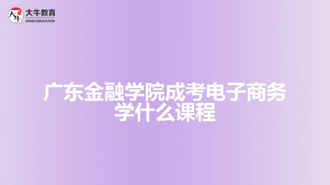 廣東金融學(xué)院成考電子商務(wù)學(xué)什么課程