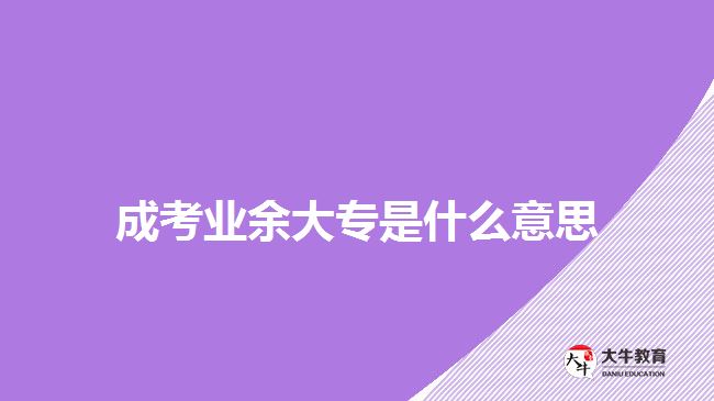 成考業(yè)余大專(zhuān)是什么意思