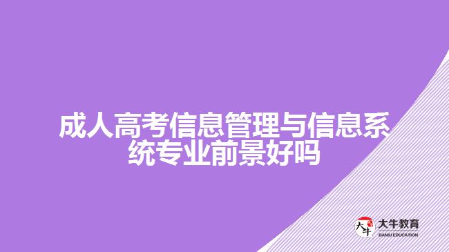 成人高考信息管理與信息系統(tǒng)專業(yè)前景好嗎