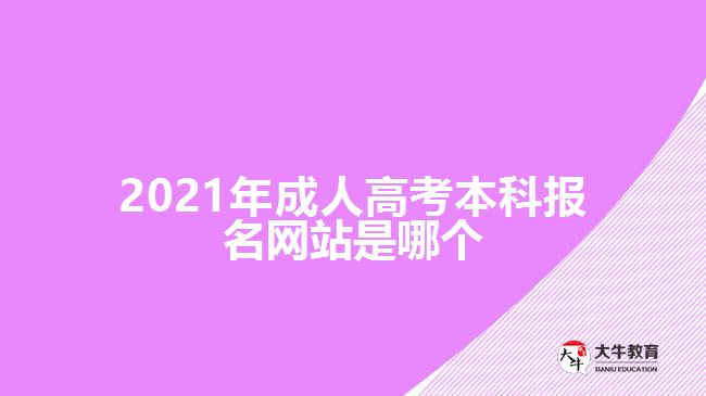 2021年成人高考本科報(bào)名網(wǎng)站是哪個(gè)