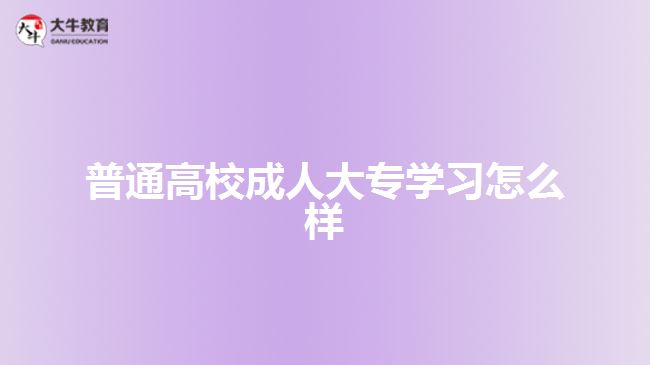 普通高校成人大專學習怎么樣