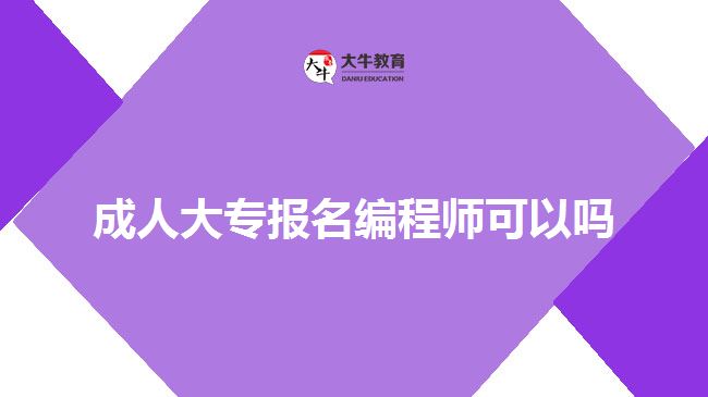 成人大專報名編程師可以嗎