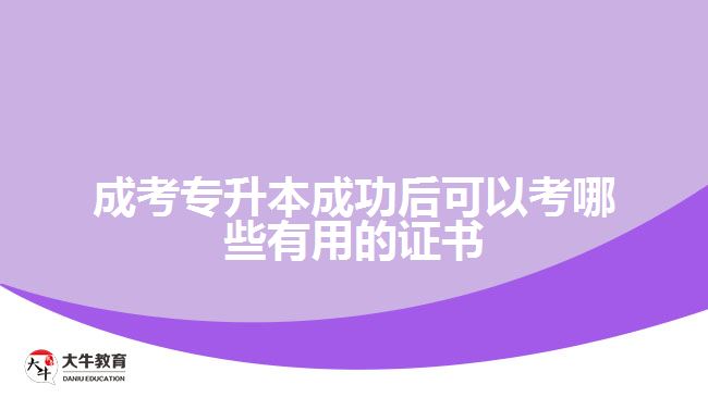 成考專(zhuān)升本成功后可以考哪些有用的證書(shū)