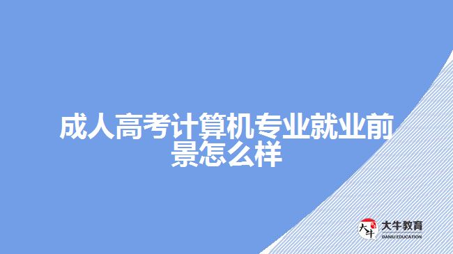 成人高考計算機(jī)專業(yè)就業(yè)前景怎么樣