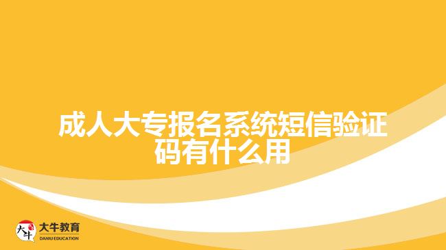 成人大專報名系統短信驗證碼有什么用