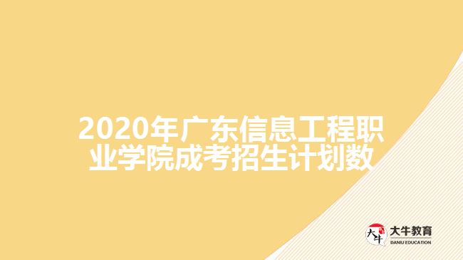 2020年廣東信息工程職業(yè)學院成考招生計劃數