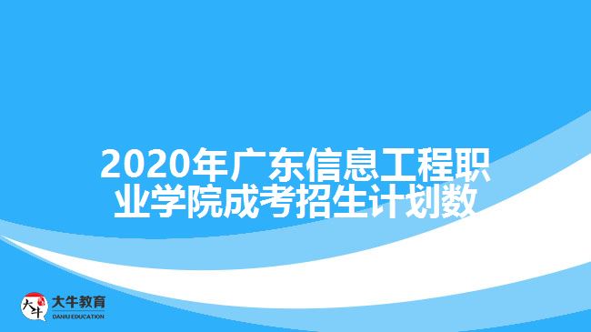 2020年廣東信息工程職業(yè)學院成考招生計劃數(shù)