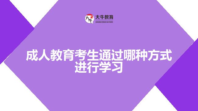 成人教育考生通過哪種方式進(jìn)行學(xué)習(xí)