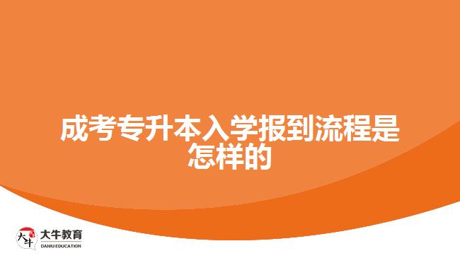 成考專升本入學(xué)報到流程是怎樣的